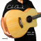 Cole Clark | SAN1EC-BM 2403218