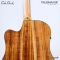 Cole Clark | Talisman (SN:260540211)