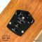 Cole Clark | FL2EC-RDBL - SN :250442059