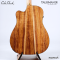 Cole Clark | Talisman (SN:260540211)
