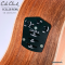 Cole Clark | LL2E-RDBL (SN:26061259)
