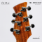 Cole Clark | Hollow Baby HSS - True Balance Pickups - Natural - Tortoise Shell scratach plate (SN : 2606257)