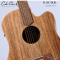 Cole Clark | FL2EC-BLBL-AE (SN:260640163)