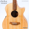 Cole Clark |  AN2EC-BB (SN:2606124056)