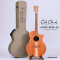 Cole Clark | AN2EC-RDBL (SN:260313189)