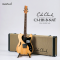 Cole Clark | Culprit 3 True Balance pickups HH - Natural - Black scratch plate (SN:2605148)
