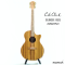 Cole Clark | CCAN2EC-BLBL (SN : 250213964)