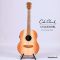 Cole Clark | LL2E-RDBL (SN:26061259)