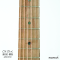 Cole Clark | AN2EC-RDBL - SN : 250314987