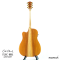 Cole Clark | FL2EC-RDBL - SN :250442059