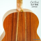 Cole Clark - CCLL2E-RDBL - SN : 25041728