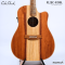 Cole Clark | FL2EC-RDBL (SN:260642172)