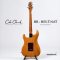 Cole Clark | Hollow Baby HSS - True Balance Pickups - Natural - Tortoise Shell scratach plate (SN : 2606257)