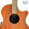Cole Clark | AN2EC-RDBL - SN : 250314987