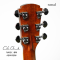 Cole Clark | SAN1EC-BM 2403218