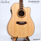 Cole Clark | Talisman (SN:260540211)