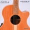 Cole Clark | AN2EC-RDBL (SN:260313189)