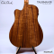 Cole Clark | Talisman (SN:260540195)