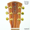 Cole Clark - CCLL2E-RDBL - SN :25051583
