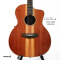 Cole Clark | SAN1EC-RDM - 2403345