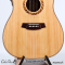 Cole Clark | Talisman (SN:260540211)