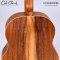 Cole Clark | LL2E-RDBL (SN:26061259)