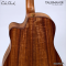 Cole Clark | Talisman (SN:260540195)