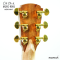 Cole Clark | AN2EC-RDBL - SN : 250314997