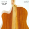 Cole Clark | FL2EC-RDBL - SN :250442059