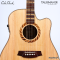 Cole Clark | Talisman (SN:260540211)
