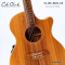 Cole Clark | TL2EC-BLBL-AE (SN:260611808)