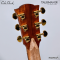 Cole Clark | Talisman (SN:260540195)