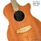 Cole Clark | AN2EC-RDBL - SN : 250314987