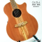 Cole Clark | AN2EC-RDBL - SN : 250314997