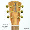 Cole Clark - CCLL2E-RDBL - SN : 25041728