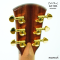 Cole Clark - CCLL2E-RDBL - SN :25051583