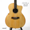 Cole Clark | SAN1EC-BM 2403218