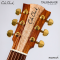Cole Clark | Talisman (SN:260540211)