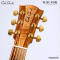 Cole Clark | FL2EC-RDBL (SN:260642172)