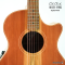 Cole Clark | AN2EC-RDBL - SN : 250314997