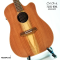 Cole Clark | FL2EC-RDBL - SN :250442059