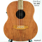 Cole Clark - CCLL2E-RDBL - SN : 25041728