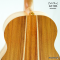 Cole Clark - CCLL2E-RDBL - SN :25051583