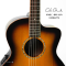 Cole Clark | SAN1EC-BM - 2402278