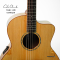 Cole Clark | SAN1EC-BM 2403218