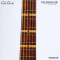 Cole Clark | Talisman (SN:260540211)
