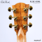 Cole Clark | FL2EC-RDBL (SN:260642172)