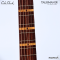 Cole Clark | Talisman (SN:260540195)