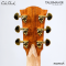 Cole Clark | Talisman (SN:260540211)