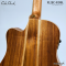 Cole Clark | FL2EC-RDBL (SN:260642172)